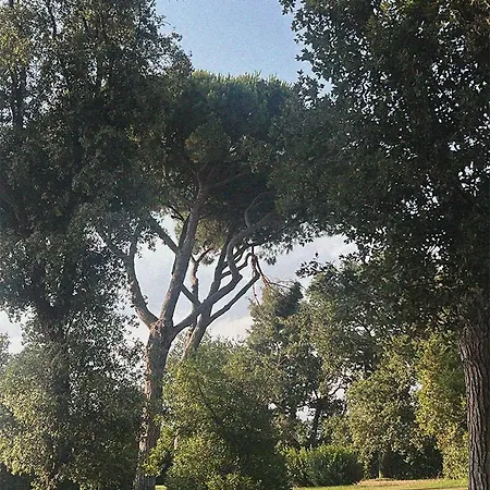 Casa Cometa